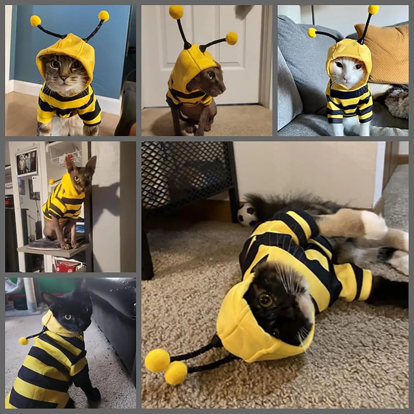Striped Bee Cat Costume Hoodie – Adorable Hooded Outfit for Cats & Kittens, Easter & Halloween Ready